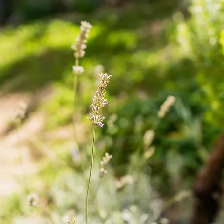 Marisan Сasa de vacaciones