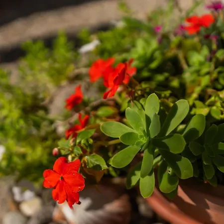 Сasa de vacaciones Marisan *