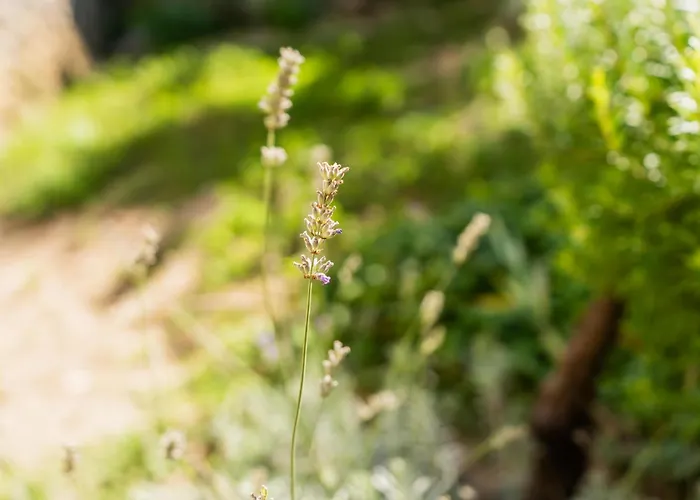Marisan Hébergement de vacances